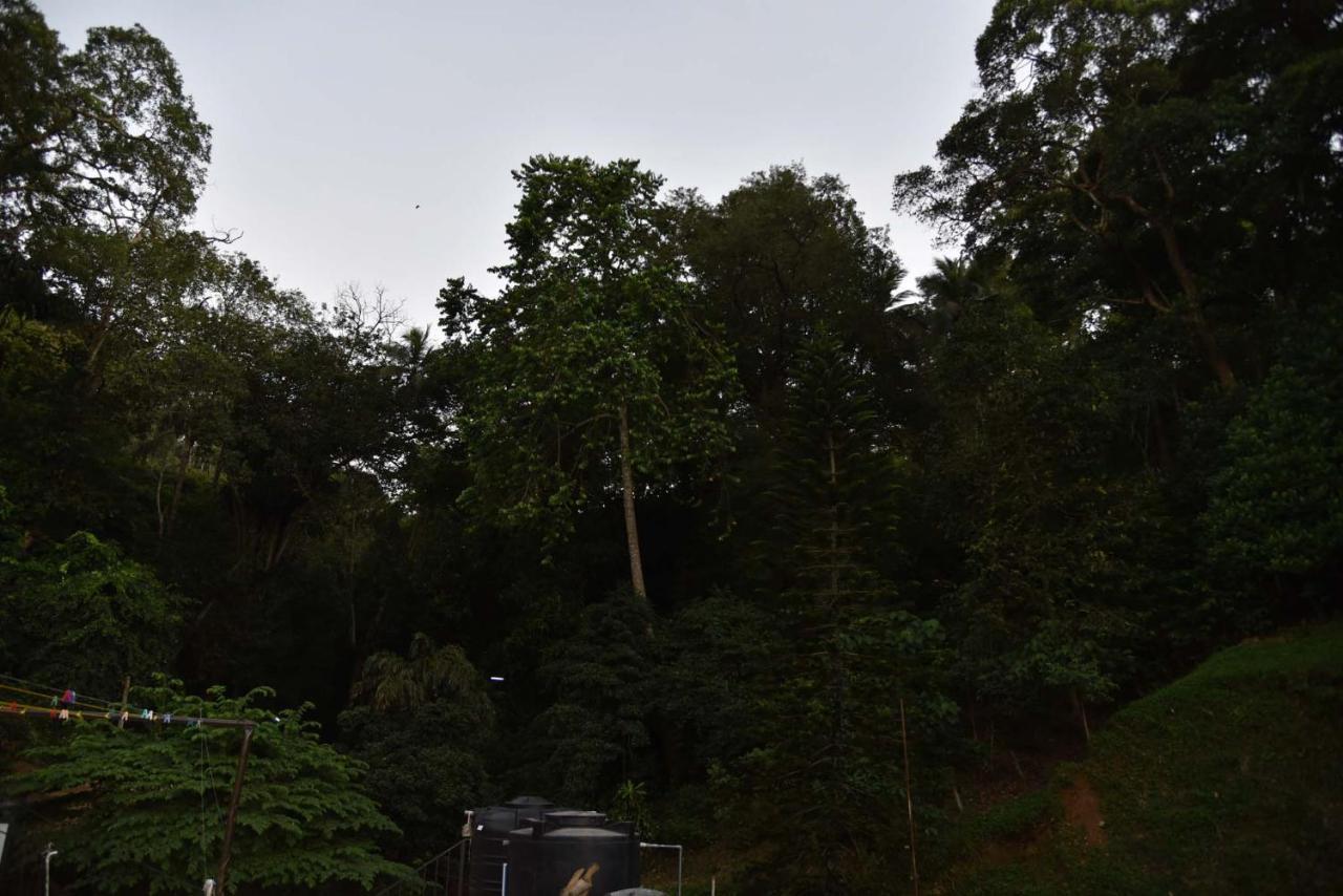Lodge In 611 Kandy Ngoại thất bức ảnh